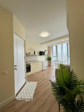 Bright cozy apartment close to city center